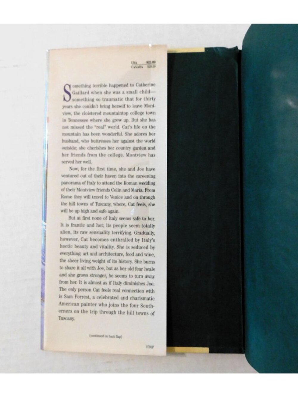 Hill Towns By Anne Rivers Siddons 1993 1st Edition Hardcover Jacket - Picture 3 of 4